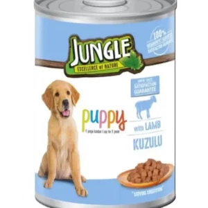 WhatsApp Image 2024 10 01 at 12.13.54 4d0c1776