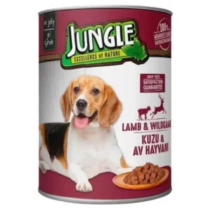 WhatsApp Image 2024 10 01 at 12.50.04 9b782f85 1 (1)