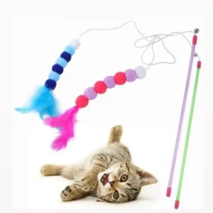 WhatsApp Image 2024 10 28 at 11.59.51 81f4ecc0