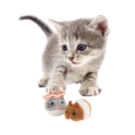 لعبه هامستر متحركه M93 / P1014