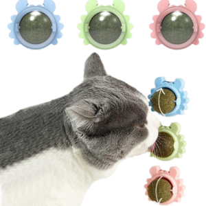 كات نب شكل عقرب P544