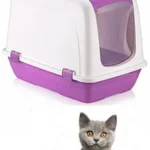 لتر بوكس مغلق