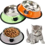 اوعية طعام للقطط