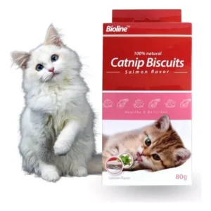 D NQ NP 2X 656187 MLC77082750980 062024 F