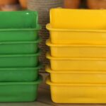 مسبحة طيور صغيرة